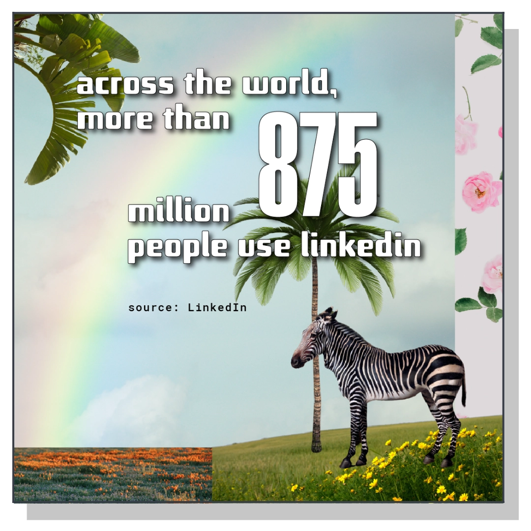 1130 Linkedin Follower Growth